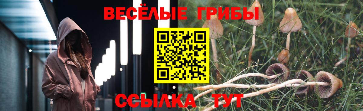 Псилоцибиновые грибы Psilocybe  Галлюциногенные грибы мицелий  Вход с VPN  Магадан 